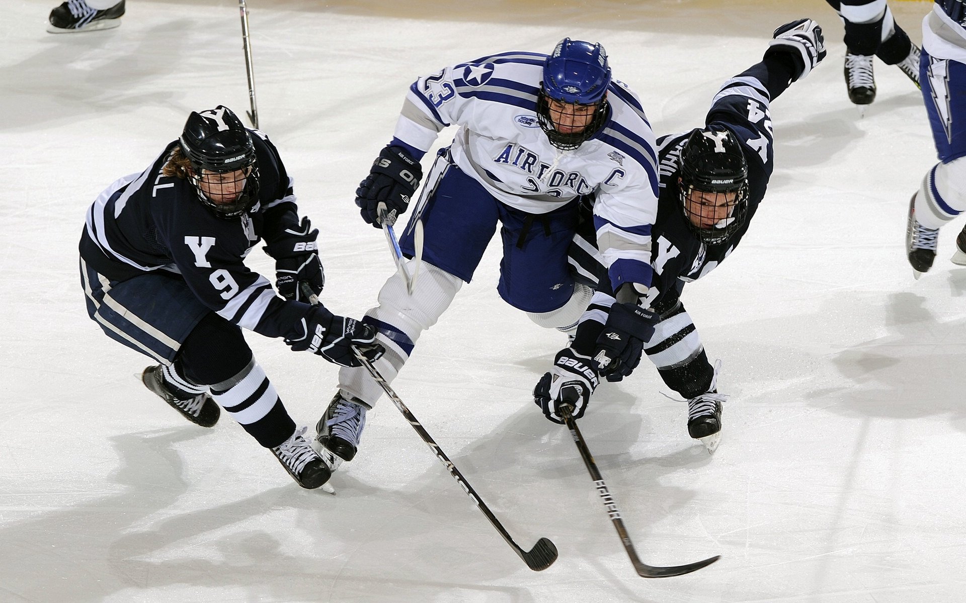 澳大利亚队未来发展：如何在国际舞台上持续进步，澳大利亚队厉害吗